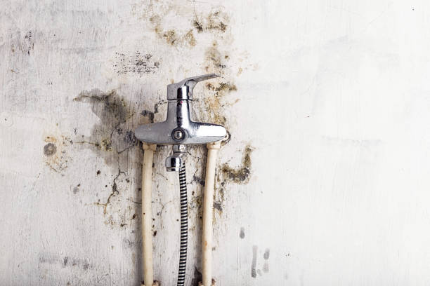 Best Office Mold Removal Services  in Turley, OK