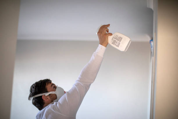 Best Residential Mold Removal  in Turley, OK