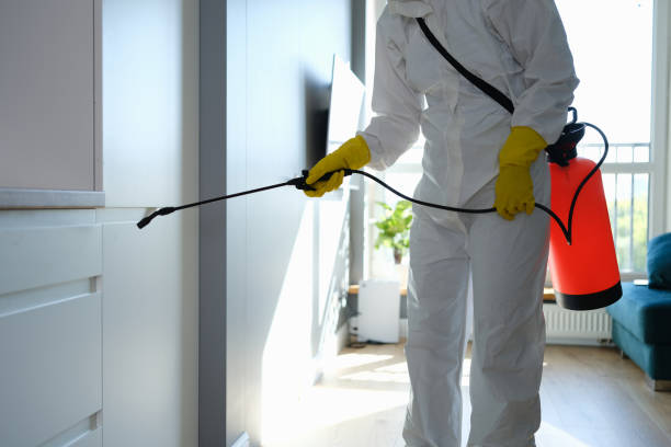 Best Fast Mold Removal  in Turley, OK