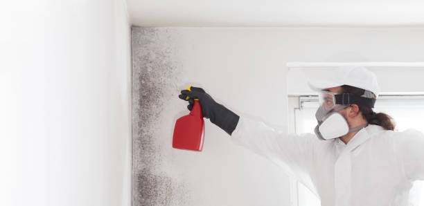 Crawl Space Mold Removal in Turley, OK